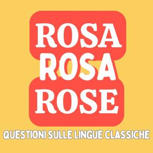 Rosa rosa rose