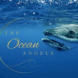 The Ocean Angels