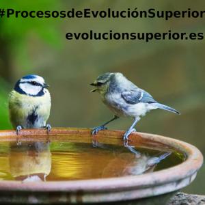 INTERPRETACIÓN TRASCENDENTAL ...