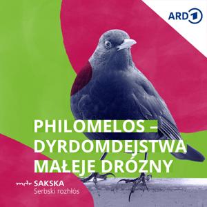 Philomelos – dyrdomdejstwa małeje drózny (MDR Serbja)
