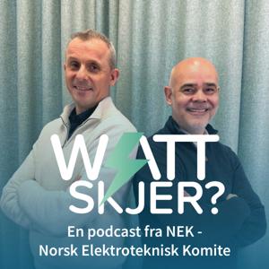 WATT SKJER?