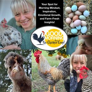 Good Morning From The Chicken Coop!