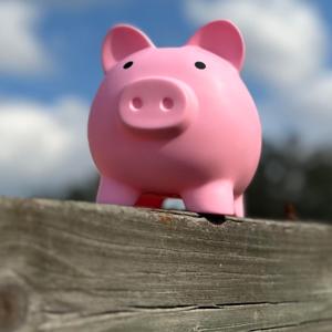 The Piggy Bank Chronicles