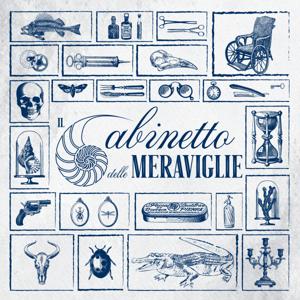Il Gabinetto delle Meraviglie