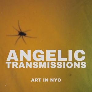 ANGELIC TRANSMISSIONS