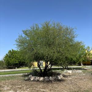 Conociendo lugares Diferentes