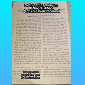 Torah Shiurim