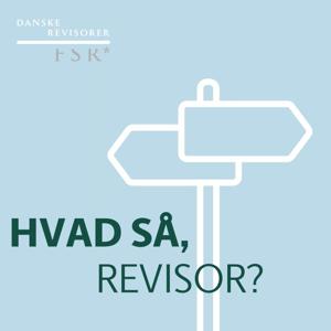 Hvad så, revisor?