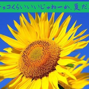 インタビューアライブ　世代を超えたフレキシブルパス