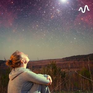 星と暮らす365日