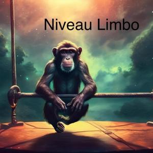 Niveau Limbo