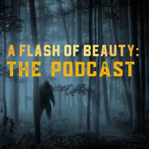 A Flash of Beauty: The Podcast by RESONANCE PRODUCTIONS