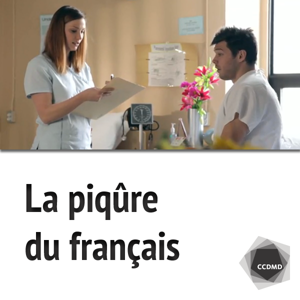 La piqûre du français by Catherine Duranleau, Christian Paré, Sophie Prince, Yung Truong