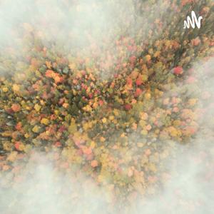 你的付出,要遇上对的人