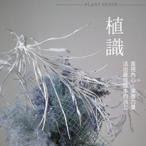植識