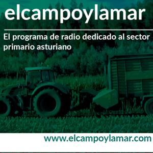 El Campo y la Mar