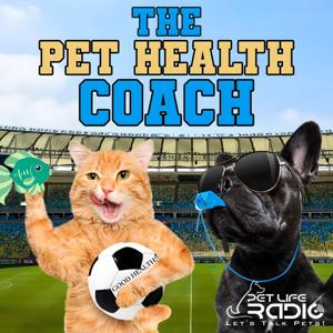 The Pet Health Coach with Jody L. Teiche (formerly The Hound Healer) - natural pet health