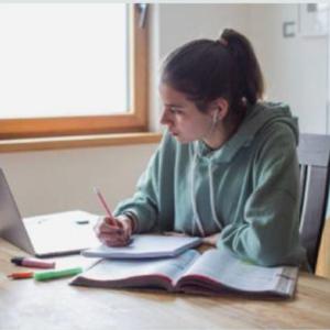 Desarrollo de actividades comunicativas.