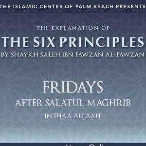 Explanation of the Six Principles