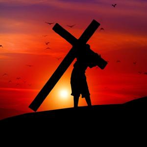 Triumph In Christ Christian Center