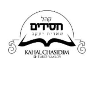 Divrei Torah-Rabbi Dovid Yehoshua Sochet