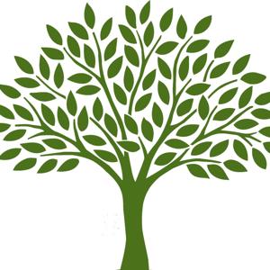 The Neighborhood Podcast