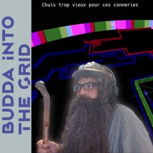 Budda Into The Grid