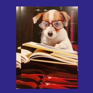 “The Story Voice”