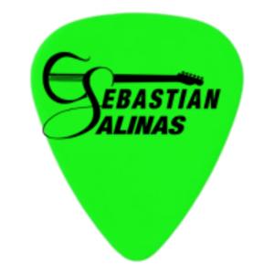 Sebastián Salinas Guitarra