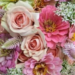 CONSTELAÇÕES CRÍSTICAS PODCAST