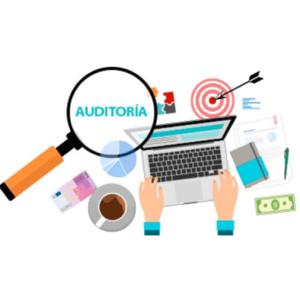Naturaleza de la auditoría