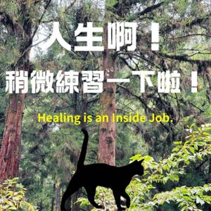 人生啊！稍微練習一下啦！
