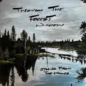 Through the Forest Window