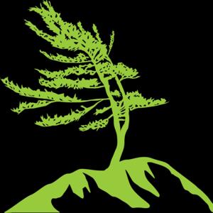 Church on the Rock | Messages
