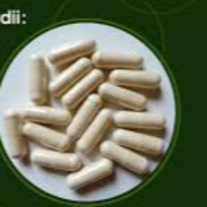 saccharomyces boulardii benefits