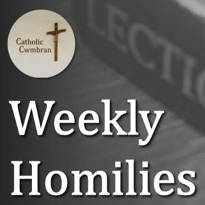 Weekly Homilies
