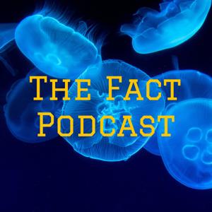 The Fact Podcast