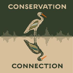 Conservation Connection