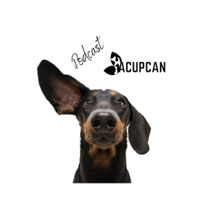 Salud y bienestar Animal más allá de la medicina tradicional