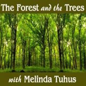 Forest and the Trees with Melinda Tuhus