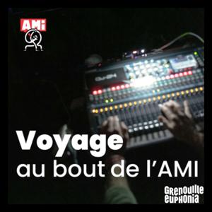 Voyage au bout de l'AMI
