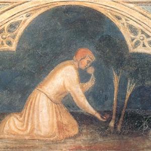 Percorsi di Filosofia