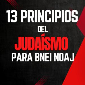 13 Principios