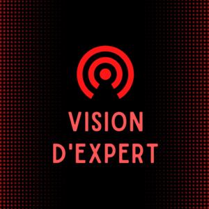 VISION D'EXPERT