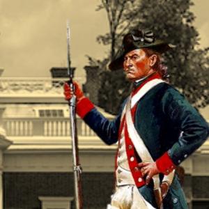 The Treehouse of Liberty