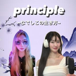 Principle