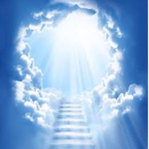 God Helps the Stupid