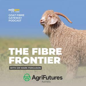 The Fibre Frontier