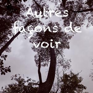 Autres façons de voir