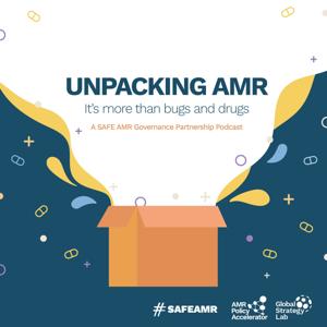Unpacking AMR